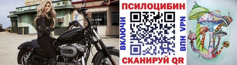 где можно купить   Краснокамск  гидра зеркало  Псилоцибиновые грибы GOLDEN TEACHER 